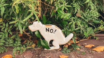 Muž nesb&iacute;ral na S&iacute;tn&eacute; po sv&eacute;m psovi exkrementy. Nakonec skončil v poutech