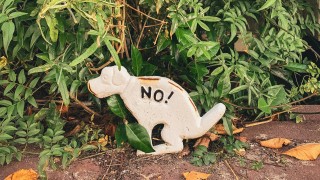 Muž nesb&iacute;ral na S&iacute;tn&eacute; po sv&eacute;m psovi exkrementy. Nakonec skončil v poutech