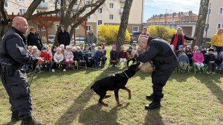 Psovodi v kladenské mateřince. Rotvajler Matýsek půjde do důchodu