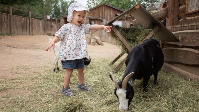 V Zooparku zájezd se letos bude slavit Den dětí hned dvakrát