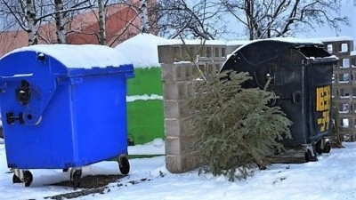 Od středy začal v Kladně svoz vánočních stromků, bude dvakrát v týdnu