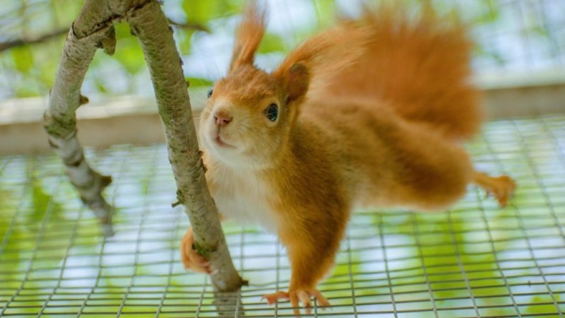 ilustrační foto zdroj Zoopark Zájezd