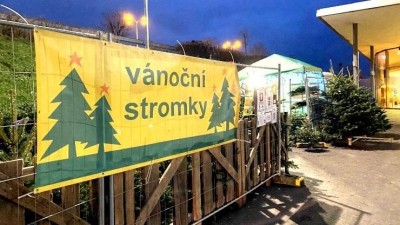 Češi za vánoční stromky dají letos přes 900 milionů korun. Oproti loňsku podraží až o deset procent, rekordní bude nákup přes e-shopy