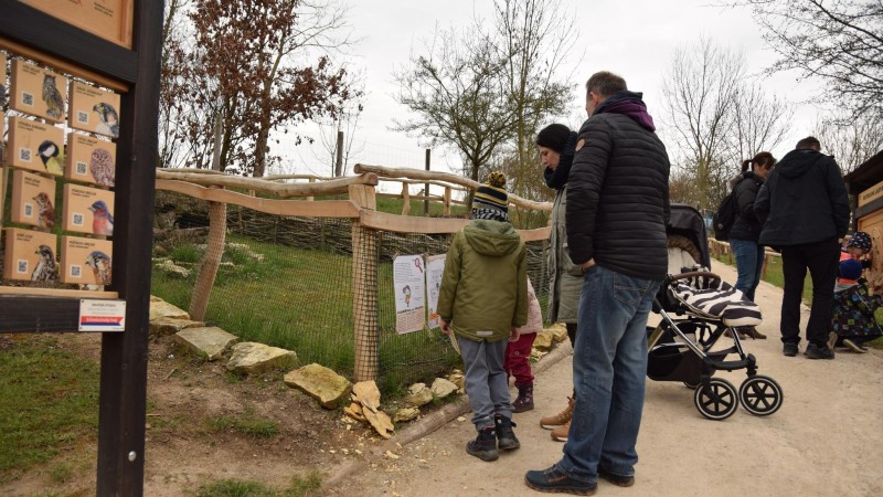 Jak do Zooparku Zájezd po celý rok zdarma?