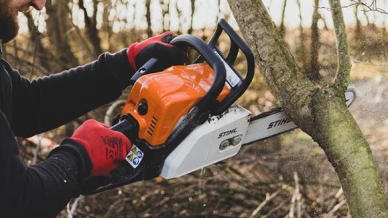 Kde se budou na Kladně k&aacute;cet stromy? Zjistili to Zelen&iacute;