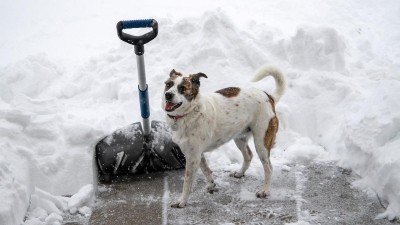 Meteorologové vydali výstrahu před sněhovými jazyky. Budou se tvořit zejména na horách, kde napadne až půl metru sněhu