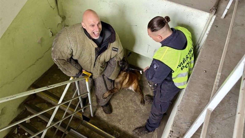 Ve Slan&eacute;m se cvičili psovodi