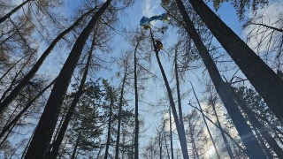 Obrazem: Paraglidista uvízl v šestnáctimetrové výšce v koruně modřínu. Takto probíhala jeho záchrana