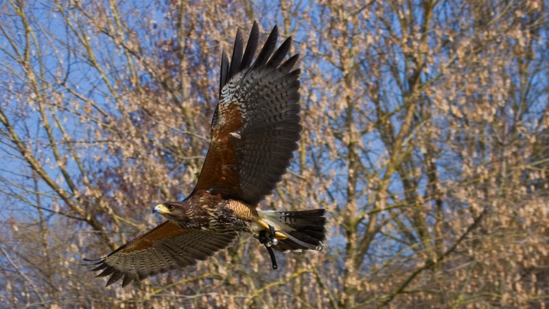 foto zdroj Zoopark Zájezd