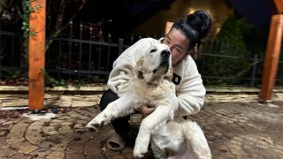 Měští policisté pomohli v pátrání po 