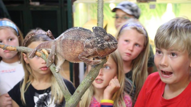 ilustrační foto zdroj Zoopark Zájezd