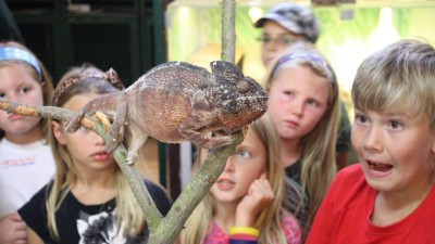 Budou mít zvířata po ruce. Zoopark Zájezd vypsal termíny tří turnusů letního příměstského tábora, i dvoudenního včetně přespání