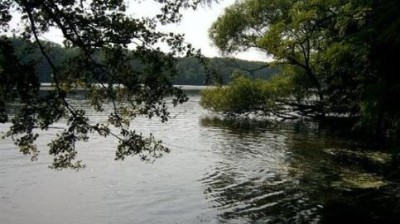 Do hostivických rybníků je stále zákaz vstupu. Příčina je dosud neznámá