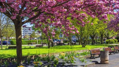 Nov&eacute; chodn&iacute;ky, zeleň i stovky parkovac&iacute;ch m&iacute;st. Kladno revitalizuje
