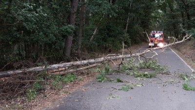 Dvacet stromů na silnicích, kuriózní dopravní nehoda či požár elektrické koloběžky. Od dnešní noci mají hasiči napilno