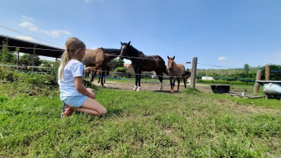 Dovolená na statku: Selský dvůr v Braňanech je malebné místo pro váš pobyt, výlet či akci, kde mají koně i zoo koutek, stylové ubytování a dobré jídlo