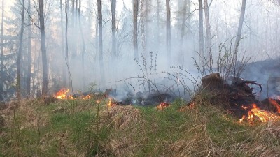 Na Benešovsku včera hořel les